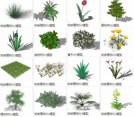 sketchup素材模型地被植物灌木树景观素材组件