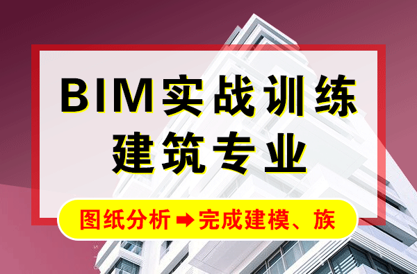 BIM建筑设计专业实战Revit培训+多层建筑BIM实战视频教程 快速掌握BIM
