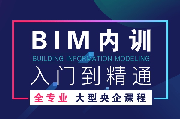 REVIT视频教程 大型建筑企业员工BIM培训教程 BIM建筑专业+结构专业+水暖电专业+快速入门并精通BIM